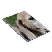 Carnet Portrait (Côté Droit)