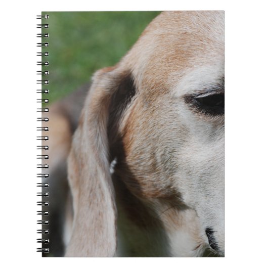 Carnet Portrait (Devant)