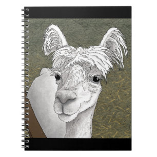 Carnet Portrait Alpaca 2