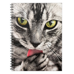 Carnet Portrait animal animal animal animal de compagnie 