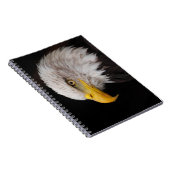 Carnet Portrait d'aigle (Côté Droit)