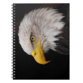 Carnet Portrait d'aigle (Devant)