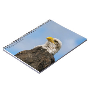 Carnet Portrait d'aigle à tête blanche Art animalier