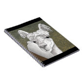 Carnet Portrait d'alpaca 2 (Côté Droit)