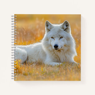 Carnet Portrait d'amour d'animal sauvage Loup