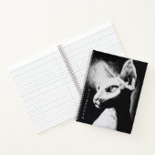 Carnet Portrait d'animal Contraste Noir Blanc Chat Sphynx (Intérieur)