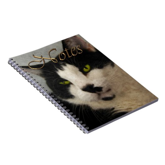 Carnet Portrait d'art chat noir et blanc (Côté Droit)