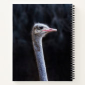 Carnet portrait d'autruche (Dos)