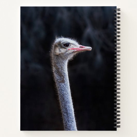 Carnet portrait d'autruche (Dos)