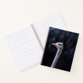 Carnet portrait d'autruche (Intérieur)