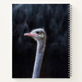 Carnet portrait d'autruche (Dos)