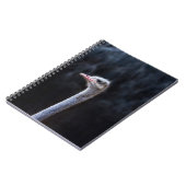 Carnet portrait d'autruche (Côté gauche)
