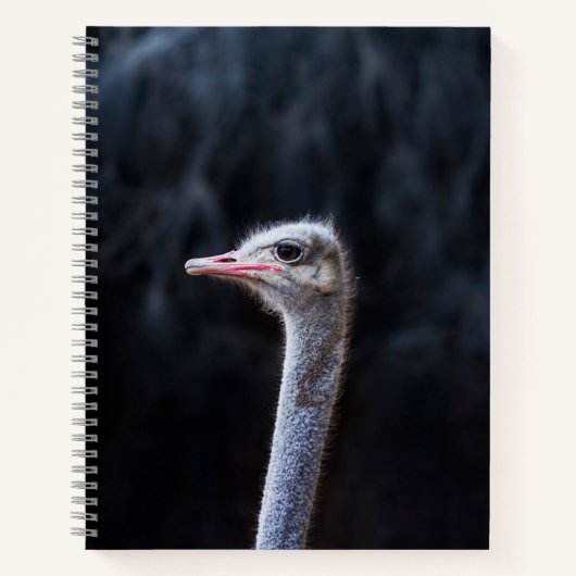 Carnet portrait d'autruche (Devant)
