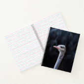 Carnet portrait d'autruche (Intérieur)
