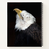 Carnet Portrait de Bald Eagle (Dos)