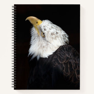 Carnet Portrait de Bald Eagle
