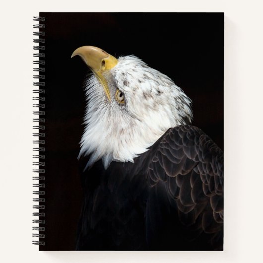 Carnet Portrait de Bald Eagle (Devant)