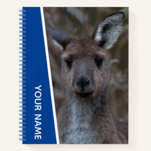 Carnet Portrait de bébé kangourou joey Australie, Bleu