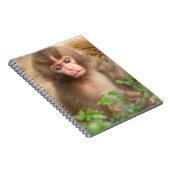 Carnet Portrait de bébé singe des neiges (Côté Droit)