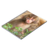 Carnet Portrait de bébé singe des neiges (Côté gauche)