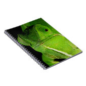 Carnet Portrait de caméléon à cou plat (Côté Droit)