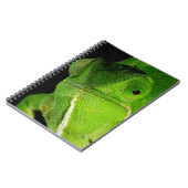 Carnet Portrait de caméléon à cou plat (Côté gauche)