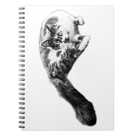 Carnet Portrait de chat long en gras (Devant)
