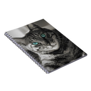 Carnet Portrait de chat tigré Sapphire Soul Silent Look S