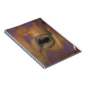 Carnet Portrait de cheval (Côté Droit)
