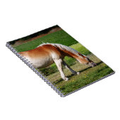 Carnet Portrait de cheval (Côté Droit)