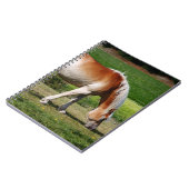 Carnet Portrait de cheval (Côté gauche)