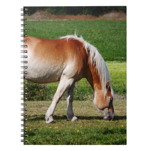 Carnet Portrait de cheval (Devant)