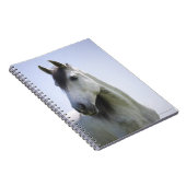Carnet portrait de cheval blanc (Côté Droit)