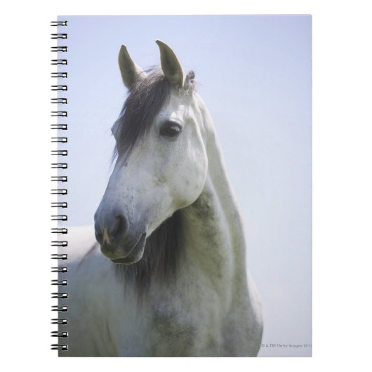 Carnet portrait de cheval blanc (Devant)