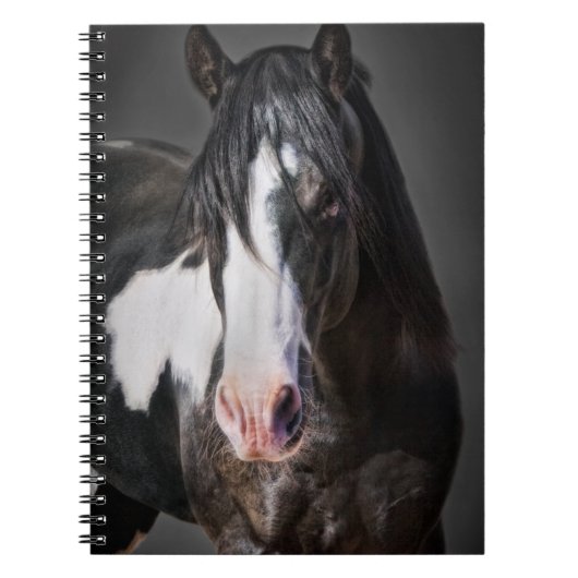 Carnet Portrait de cheval II (Devant)