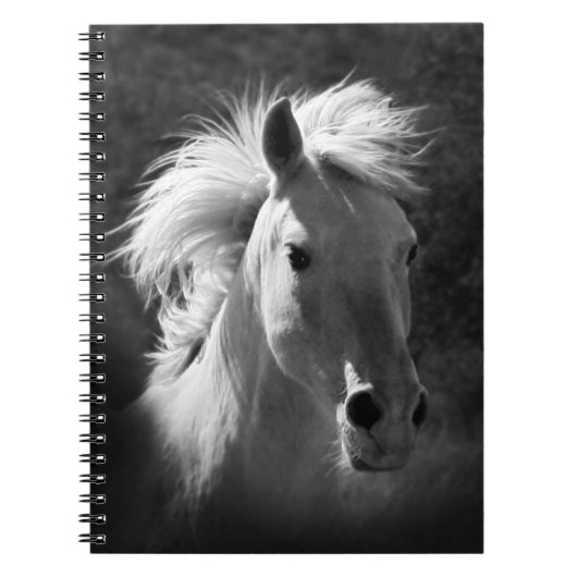 Carnet Portrait de cheval V (Devant)