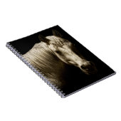 Carnet Portrait de cheval VI (Côté Droit)
