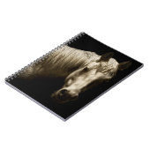 Carnet Portrait de cheval VI (Côté gauche)