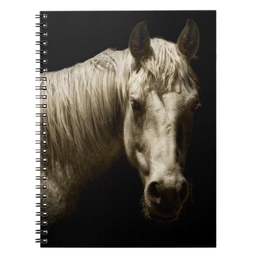 Carnet Portrait de cheval VI (Devant)