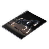 Carnet Portrait de cheval VIII (Côté gauche)