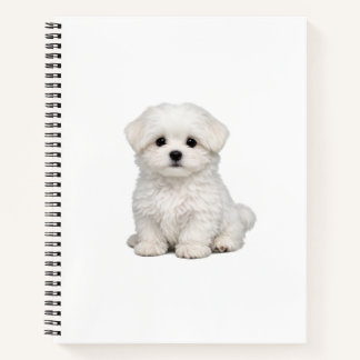 Carnet Portrait de chiot maltais blanc et duveteux Amateu