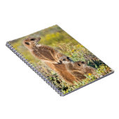 Carnet Portrait de famille de suricates (Côté Droit)