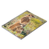 Carnet Portrait de famille de suricates (Côté gauche)