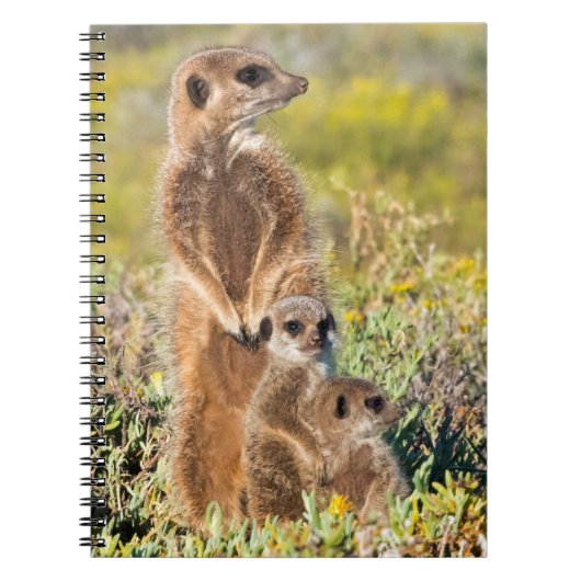 Carnet Portrait de famille de suricates (Devant)