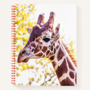 Carnet Portrait de Giraffe