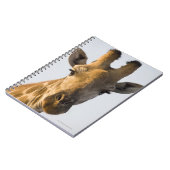 Carnet Portrait de Giraffe (Giraffa camelopardalis) (Côté gauche)