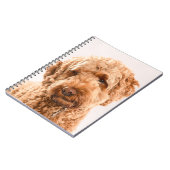 Carnet Portrait de Goldendoodle Studio (Côté gauche)