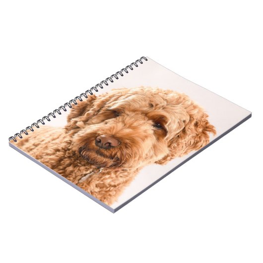 Carnet Portrait de Goldendoodle Studio (Côté gauche)