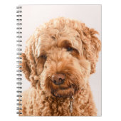 Carnet Portrait de Goldendoodle Studio (Devant)