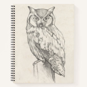Carnet Portrait de hibou - Croquis